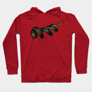 Snake Hoodie